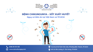 BỆNH CHIKUNGUNYA – SỐT XUẤT HUYẾT: CẢNH BÁO NGUY CƠ TIỀM ẨN TẠI VIỆT NAM VÀ THÀNH PHỐ HỒ CHÍ MINH缩略图