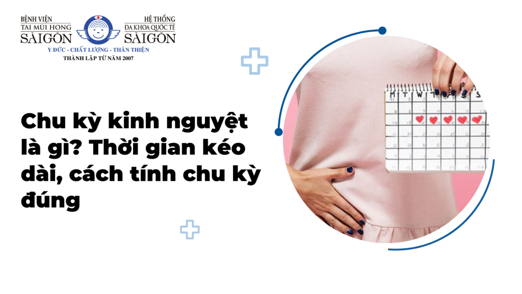 Chu kỳ kinh nguyệt là gì? Thời gian kéo dài, cách tính chu kỳ đúng缩略图