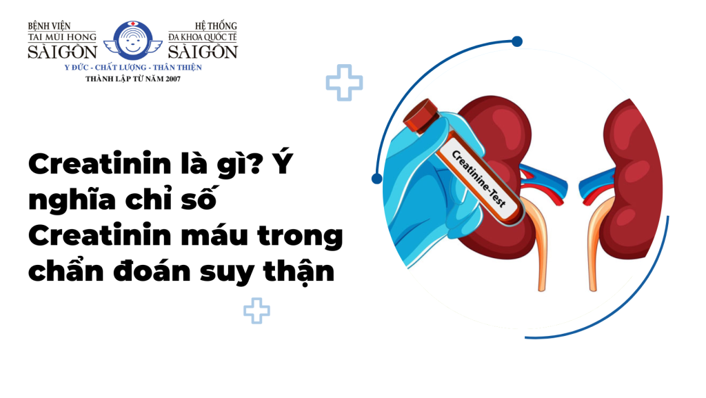Creatinin là gì? Ý nghĩa chỉ số Creatinin máu trong chẩn đoán suy thận缩略图
